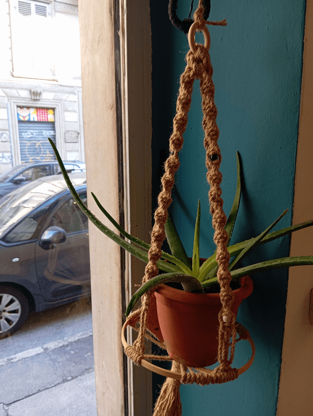 Porta vaso spirale con supporto in legno